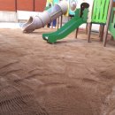 대창초교병설유치원 이미지