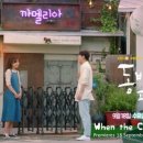 까멜리아 이미지