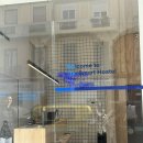 스토리호스텔 | 여자혼자 여행 발렌시아 호스텔 비교하기 Colo colo Hostel vs Purple Nest Hostel