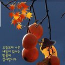 "수원 '화성'(華城)의 '장안문'(長安門) 등을 찾아서"＜2024.11.19(화)＞ 이미지