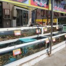 영덕 물가자미 전문점 이미지