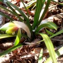 산속농장 이미지