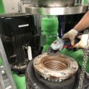 리스체크 이미지