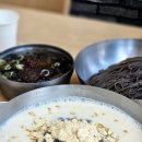 전주 금암동 소바 맛집 &#39;메르밀 진미집&#39; 콩국수 후기