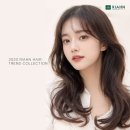 헤어보고 이미지