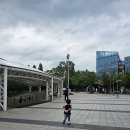 쥬네브 동백점 챔피언 이미지