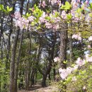 산마루풍경 이미지