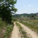 버스정류장 07-210 Daum카페