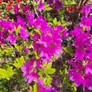 수채화(오후) 이미지