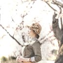 자연칼라사진관 네이버블로그