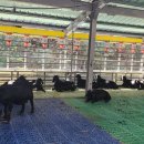 송동축사 이미지