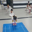 조원초등학교 정문 앞 이미지