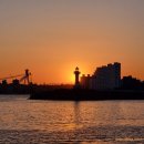 동진초장 이미지