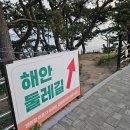 대왕암공원 캠핑장 | 울산대왕암공원 캠핑장 카라반 당첨 후기