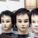 셀모가발 이미지