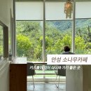 소나무 | 안성 키즈룸, 트램펄린, 수영장까지 있어 아이와 가기 좋은 소나무카페 후기