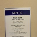 문래동 야장 맛집, 힙한 피자 맛집 비오피 문래점 재방문 후기