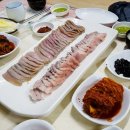 송학홍탁