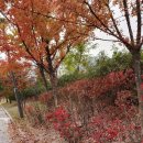 덕송초교 이미지