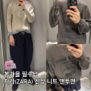 2621 | 자라(ZARA) 봄가을 착용 신상 이쁜 니트 맨투맨 2종 리뷰 후기