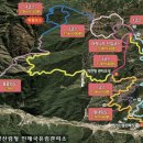 자작나무집 이미지