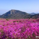 비슬산관광지 이미지