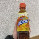 마라689 | / 마라689 안양충훈직영점 / 충훈동 유일 마라탕 맛집 추천 후기