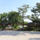 덕소자연사박물관 이미지