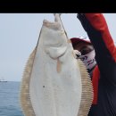 삼척고잉