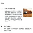 신혼여행 두바이 경유여행::두바이무료유심사용방법 마이리얼트립 모닝사파리투어 두바이사막투어후기