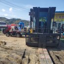 대조-010 이미지