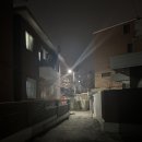 지명희헤어라인