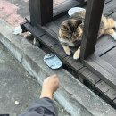 피망미용실 이미지