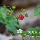 거기우리 이미지