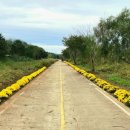 물안개공원 이미지