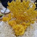 옥동부산복어 이미지