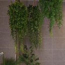 오늘도 여수 이미지