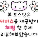 다올앤사주와타로 이미지