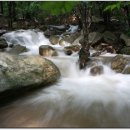 원각만물 이미지