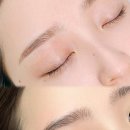 안나의눈썹 이미지