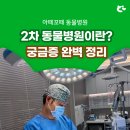 아떼꼬떼 동물병원 | [신촌 동물병원] 아떼꼬떼 동물병원은 2차 병원인가요?