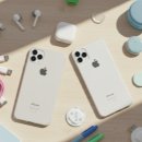 엘지25(동대문점) 이미지
