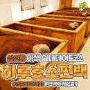 하루효소편백 네이버블로그