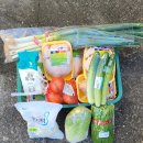 용계1리 Daum카페
