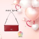 에이비씨월드 이미지