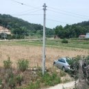 조마면사무소 이미지
