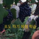 회덕농장 이미지