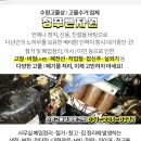 태광고철 이미지