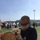 동탄 수질복원센터 축구장 이미지