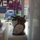 부엉이해장국 이미지